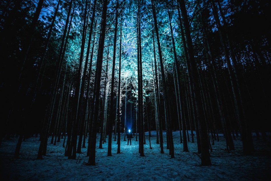 Flashlight in the forest at night