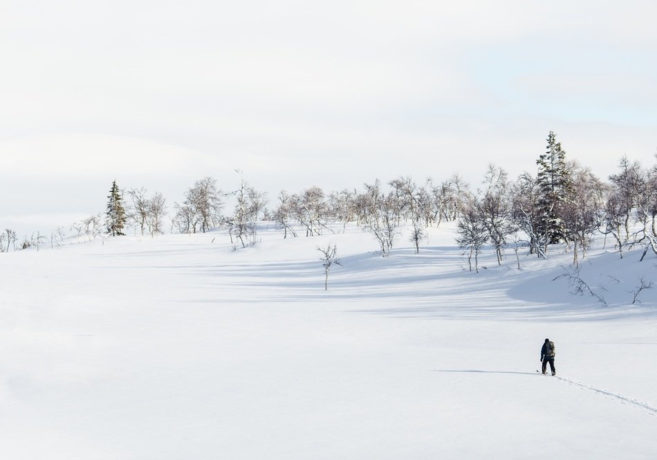 man among the snowy landscape