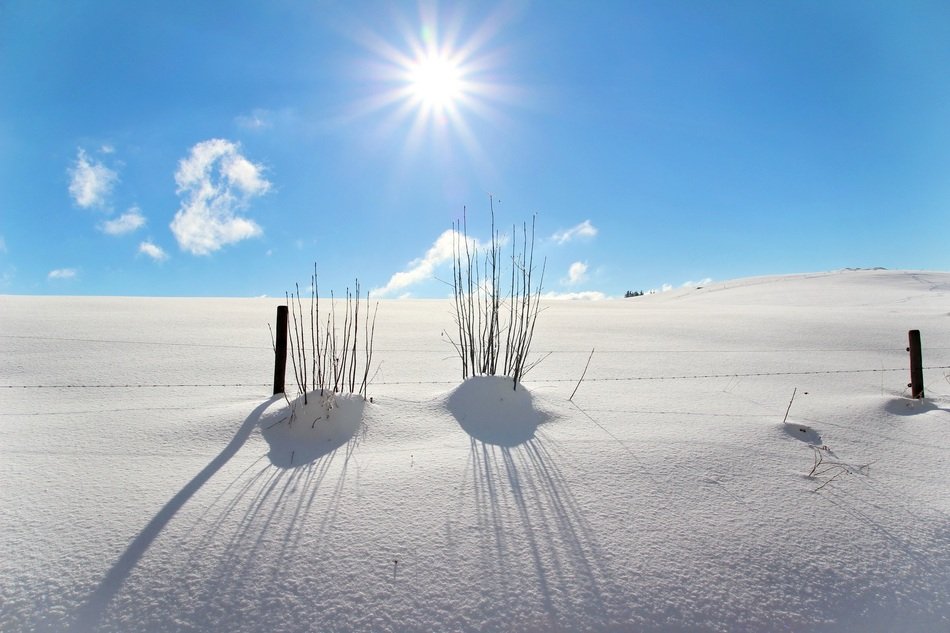 Lots of snow at the sunlight