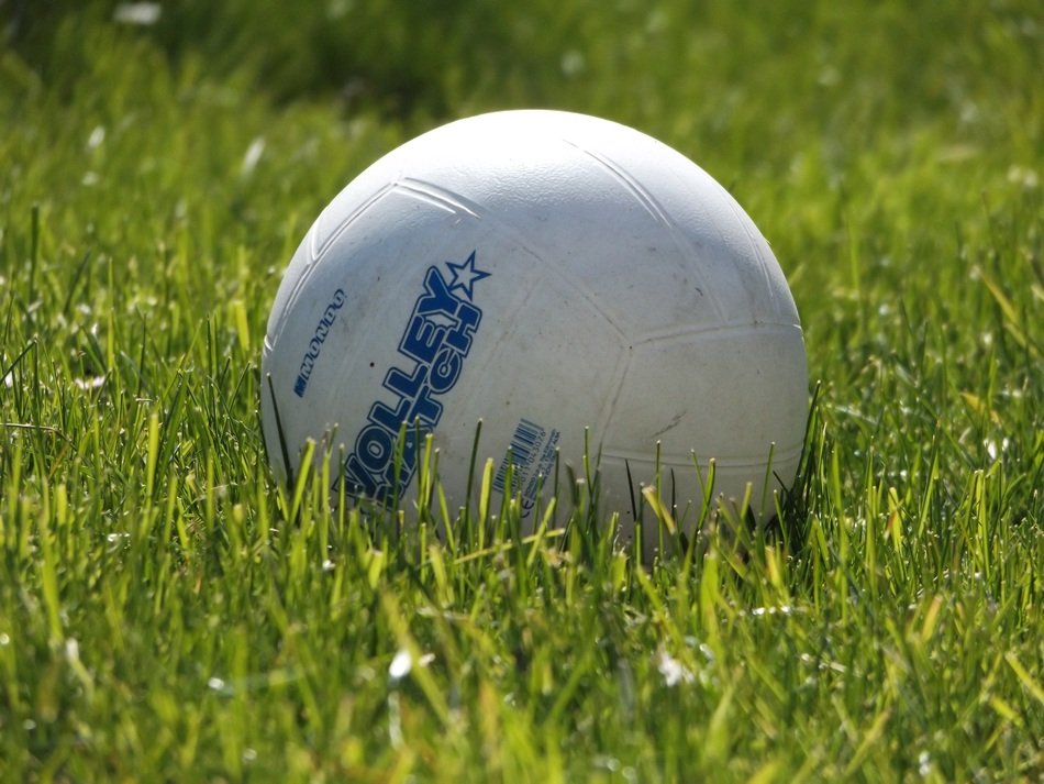white ball on the grass
