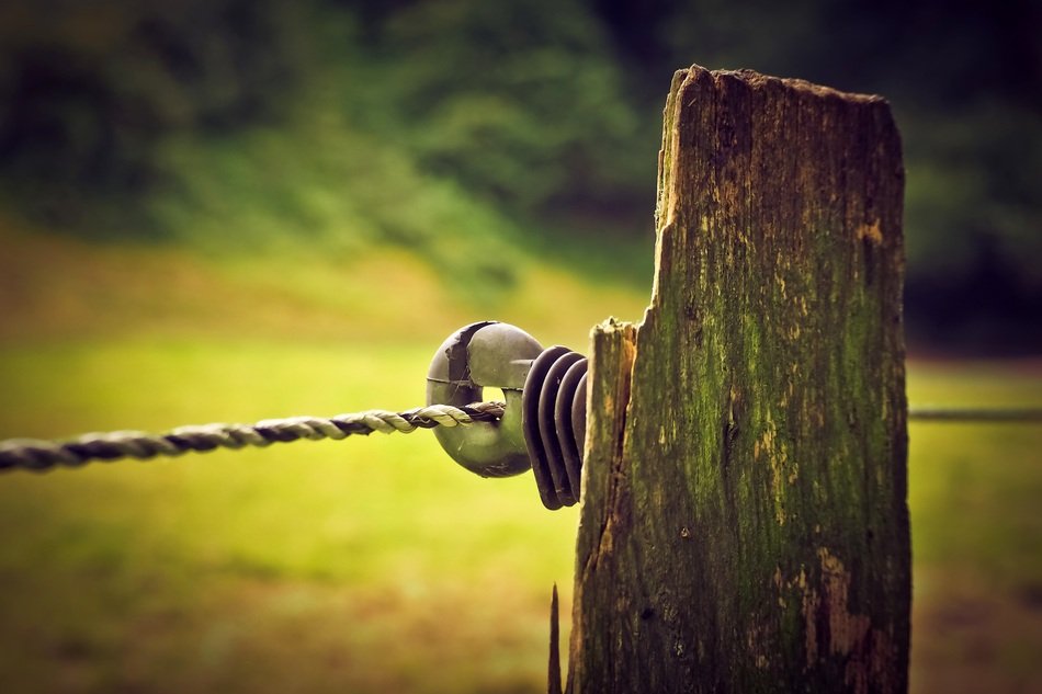 pleasing Fence Wood