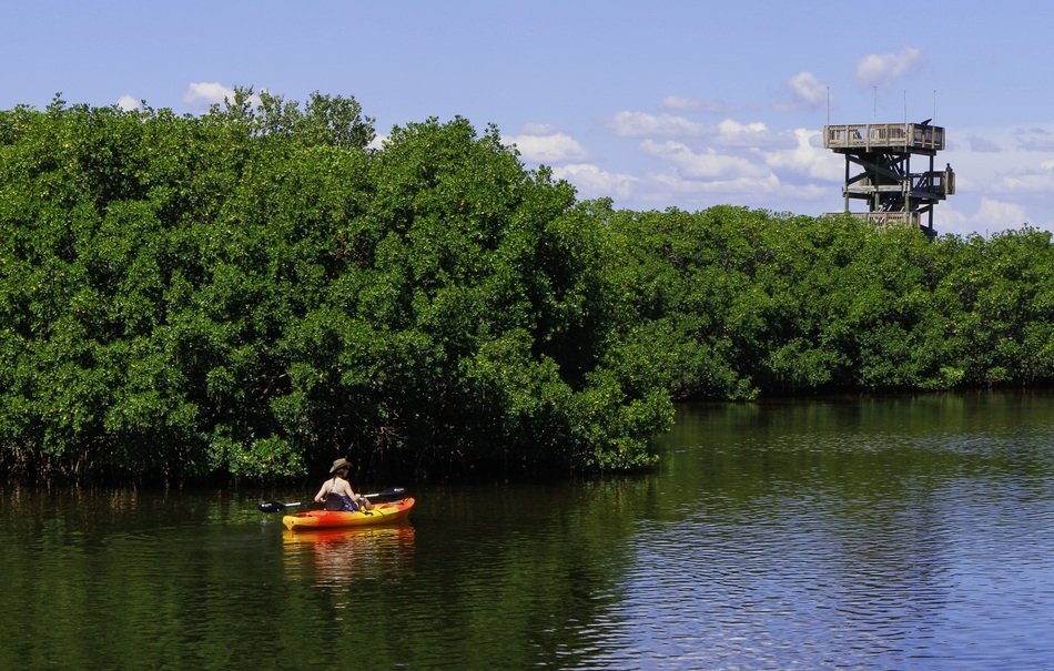 Kayak on water near Observation tower