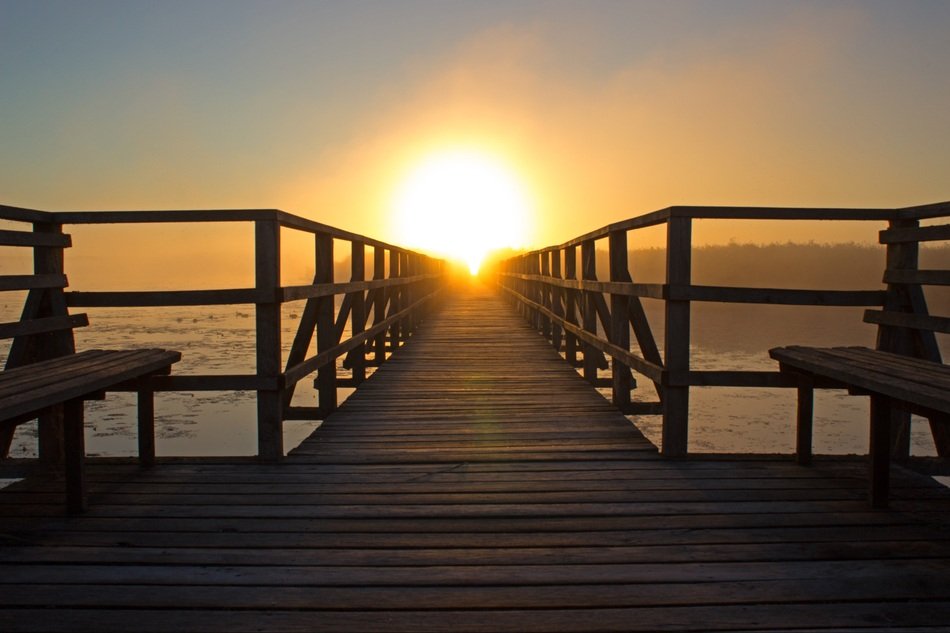 bridge against the background of dawn