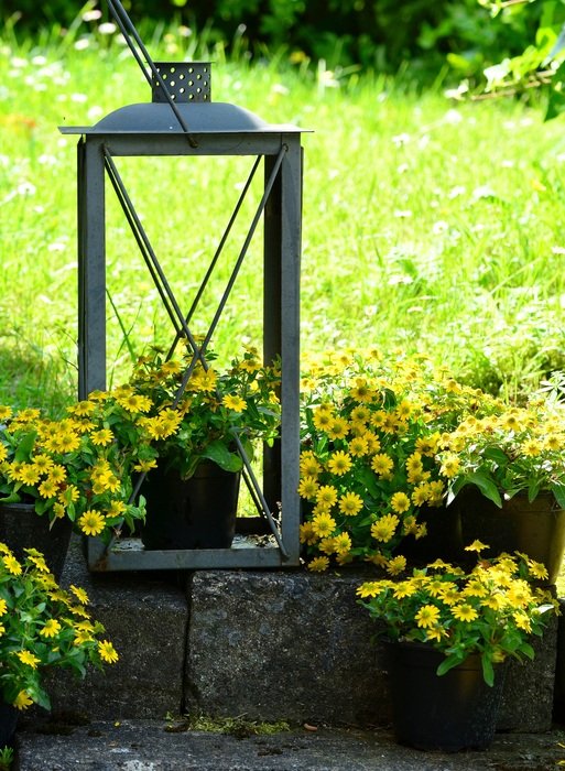 Decoration Garden