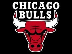 logo of Chicago Bulls