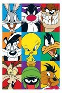 Looney Tunes Cartoon Characters