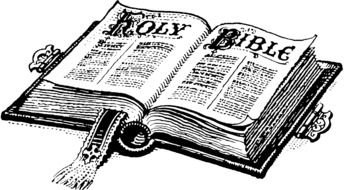 drawn open bible on a white background