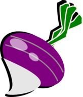 Turnip Clip Art