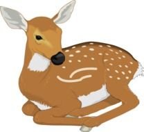 painted young deer lying
