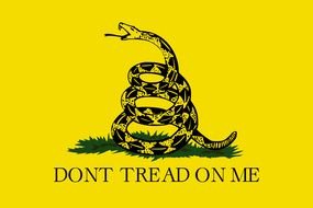 Dont Tread On Me Flag drawing