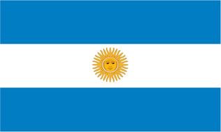 painted flag of Argentina