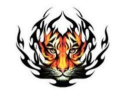 Tiger Head Tattoo Designs drawing