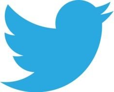 big blue bird twitter