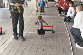 Picture of the walking monkey and man