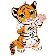 tiger cub as a picture for clipart