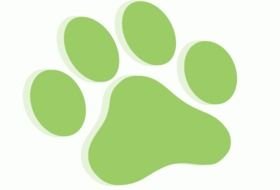 Green paw of the dog print clipart