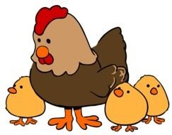 Cartoon Chick Clip Art drawing