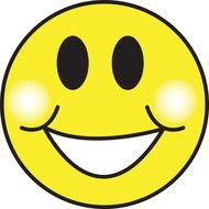 Smiley Face N13