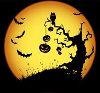 Scary Halloween ntee but owl drawing