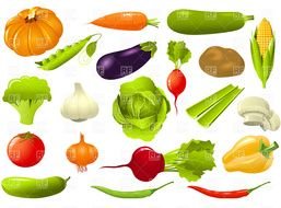 drawings of vegetables of different types on a white background