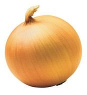 photo of onion on a white background