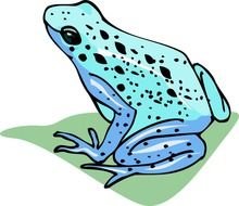 Frog Eggs Clip Art