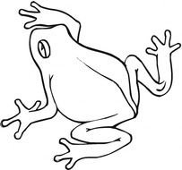Frog Life Cycle Coloring Page