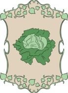 clipart of Ornamental leaves and green lettuce