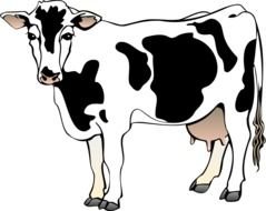 milk Cow drawing