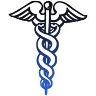 Caduceus Medical Symbol Clip Art N2