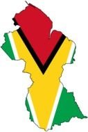 flag of Guyana clipart