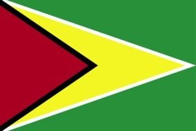green Guyana Flag drawing