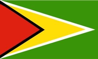 Guyana Flag drawing