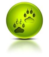Green Paw Print Clip Art