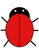 painted red beetle