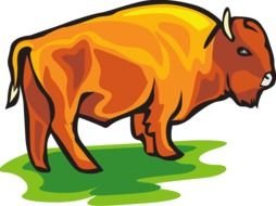 Buffalo Bison Clip Art