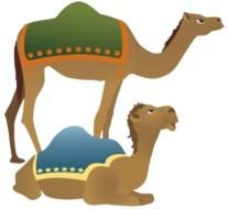 Camel Clip Art N4