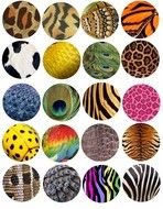 Pattern Clip Art