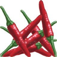 Chili Pepper Clip Art N3