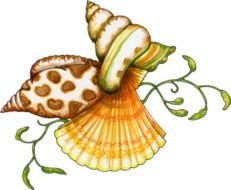 Sea Shell Clip Art N3