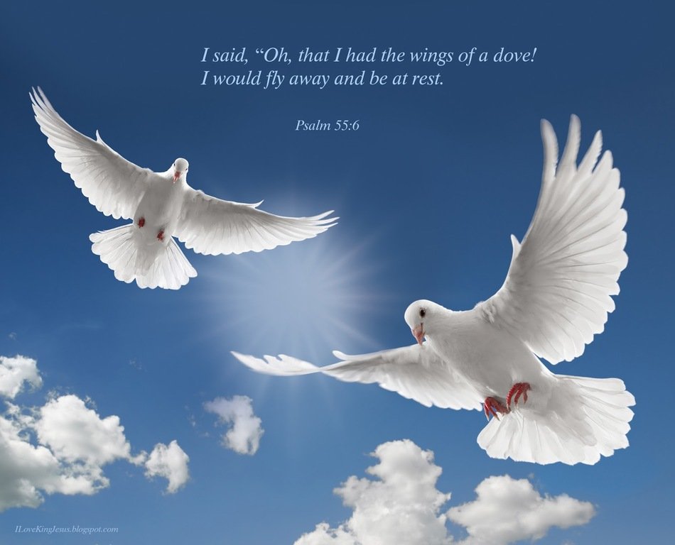 Flying Dove