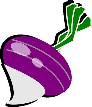 Turnip Clip Art