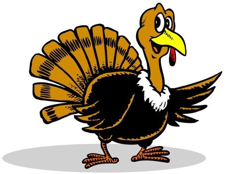 drawing of a black turkey with a yellow tail and head