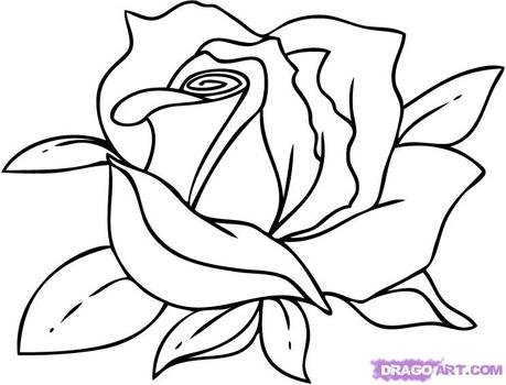 Cartoon Flower Drawings