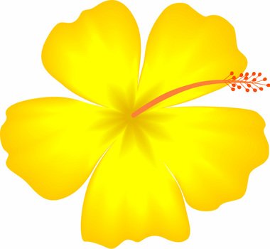 Yellow Hawaiian Flower Clip Art