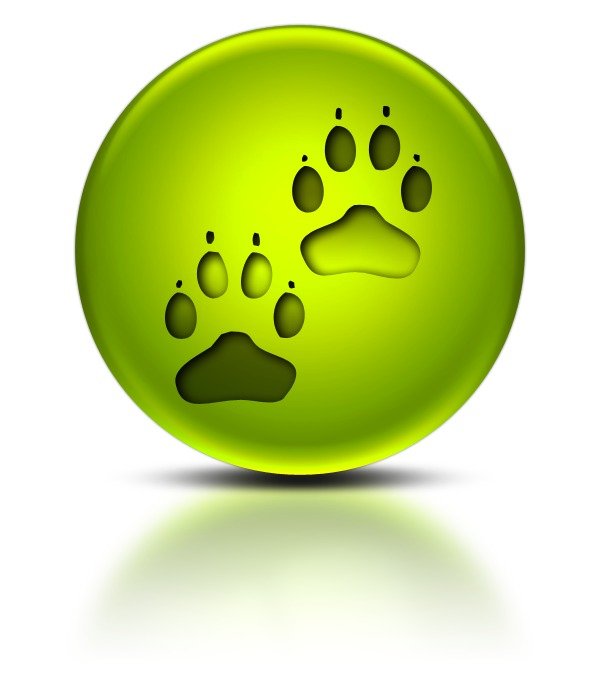 Green Paw Print Clip Art
