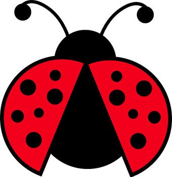 Lady Bug Clip Art N6