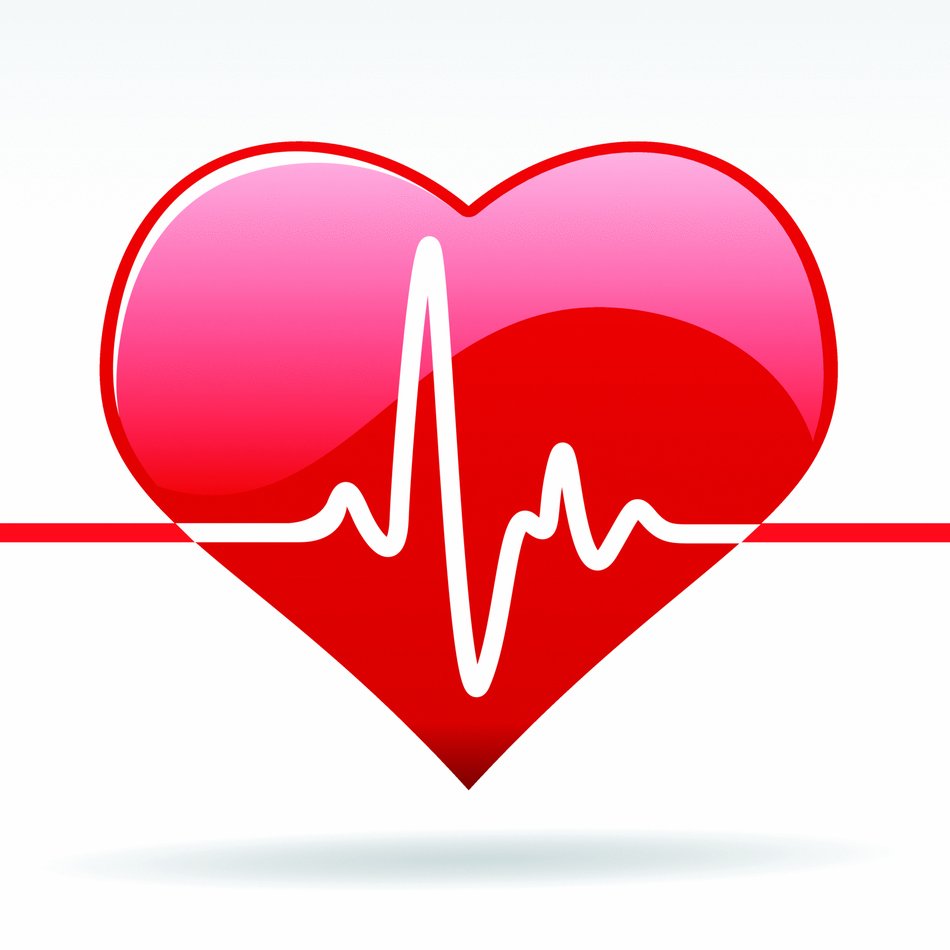 heart beat on the white background