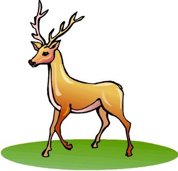 Deer Clip Art N2