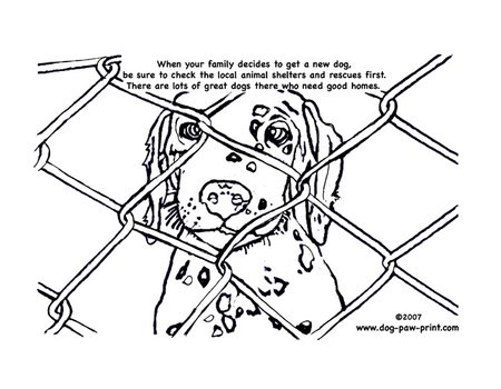 Cute Dog Coloring Pages N2